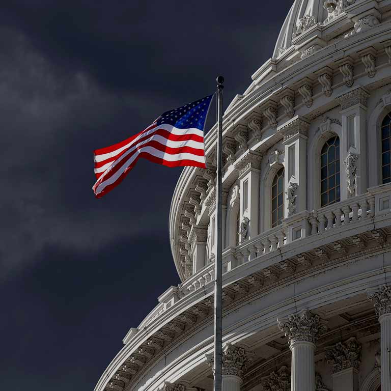 US Public Sector